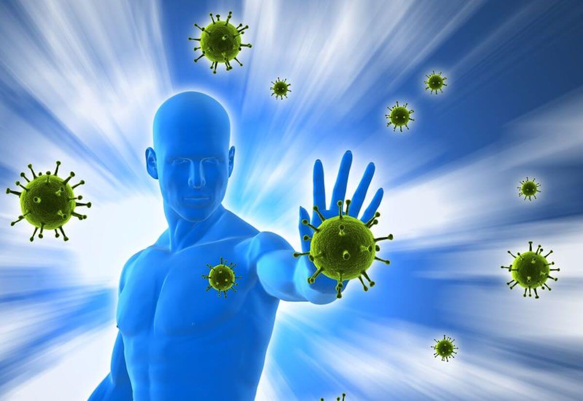 Способы укрепления иммунитета человека