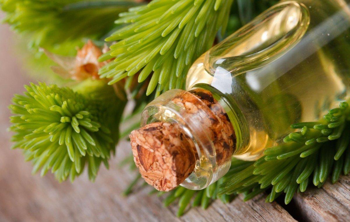 Пихтовое эфирное масло: лечебные свойства и применение