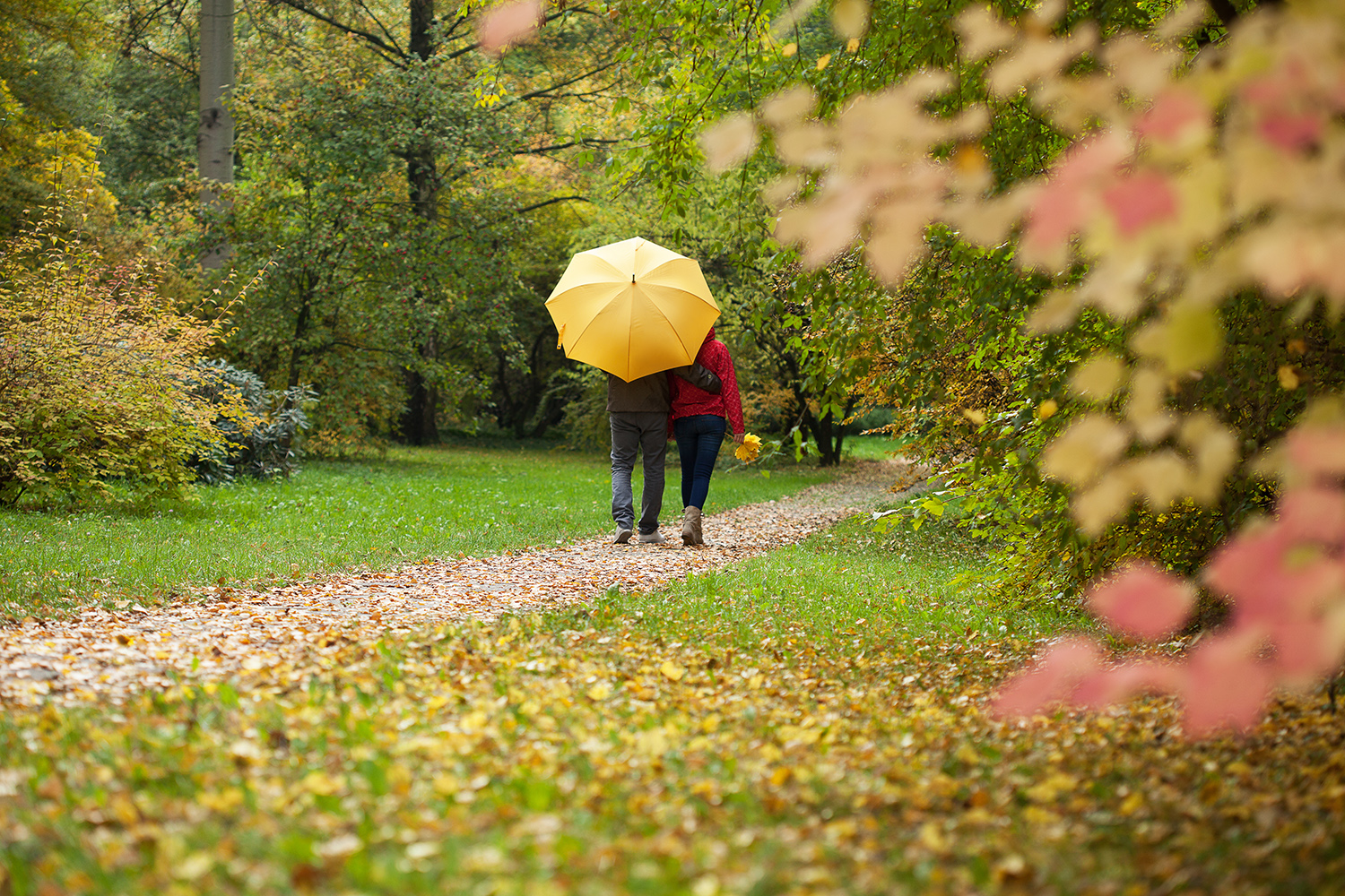 Гулять зонтиком. Осенний парк под зонтом. Гулять в парке. Прогулка в парке с зонтиками. Прогулка под дождем в лесу.