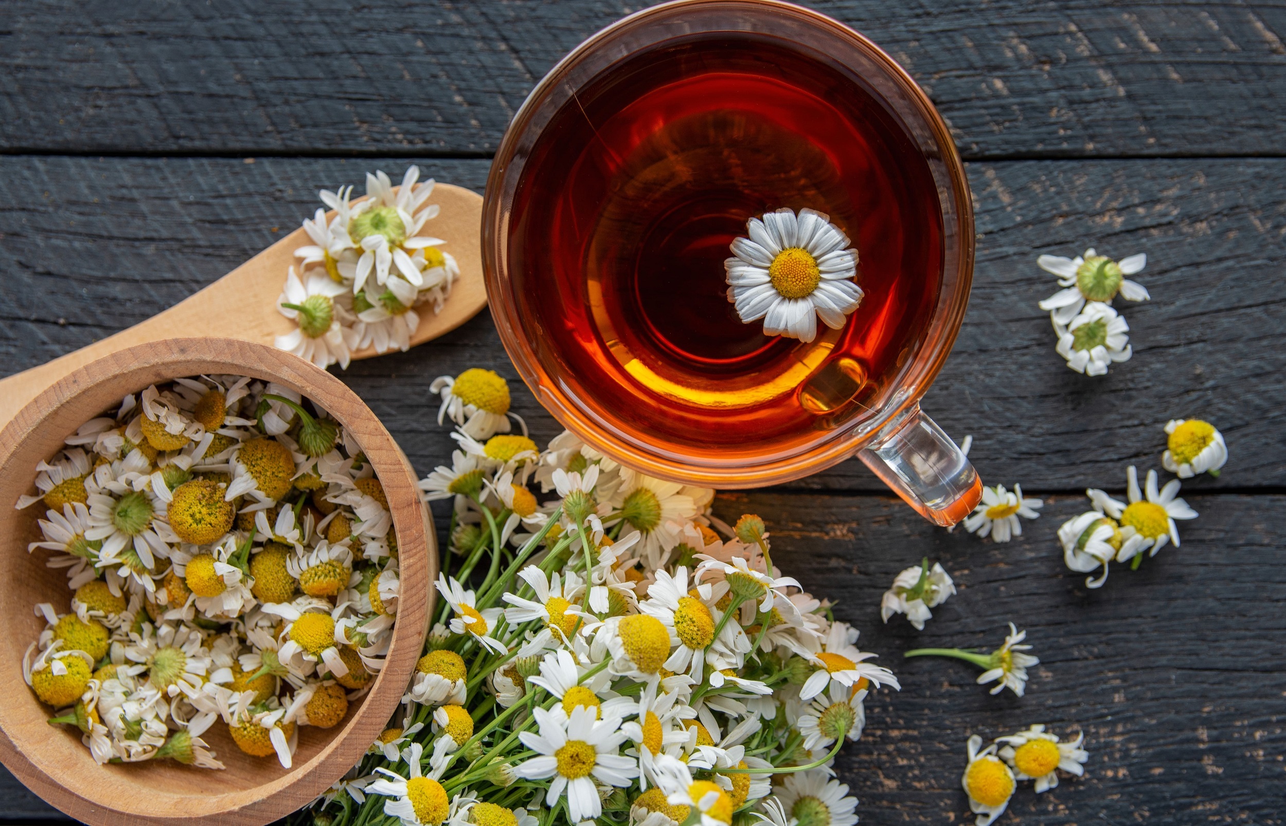 Ромашка при простуде: есть ли польза? Ромашка при простуде: есть ли польза?