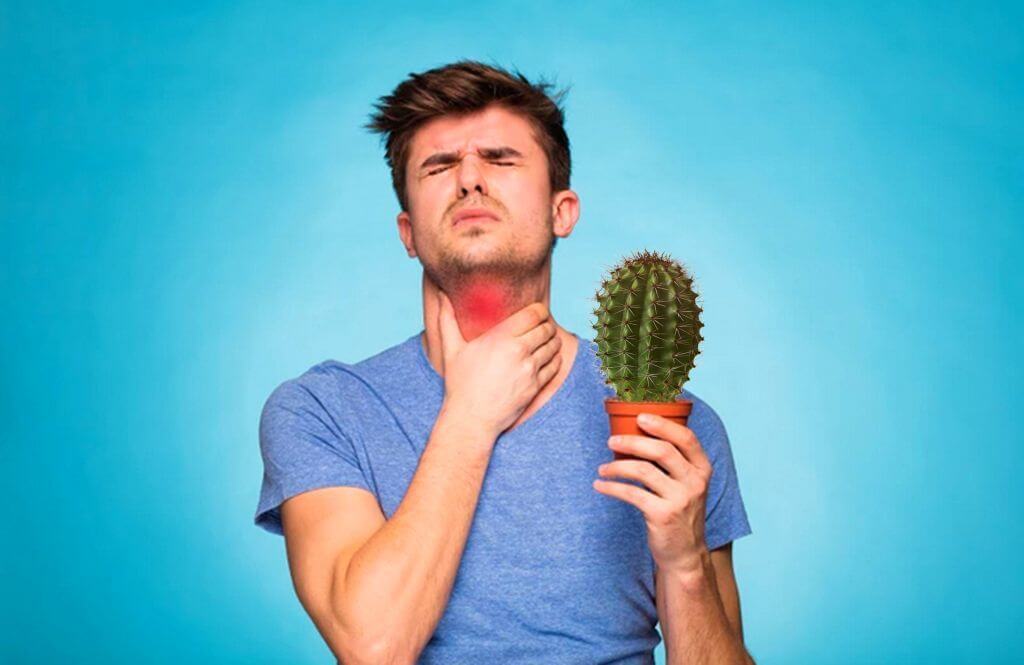 Сухость в горле, вызывающая кашель: причины и лечение